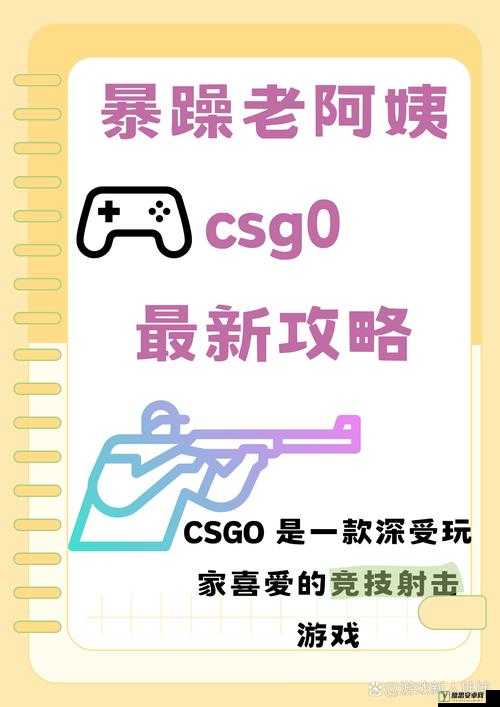 暴躁老阿姨的 CSGO 秘籍：教你如何在游戏中称霸全场