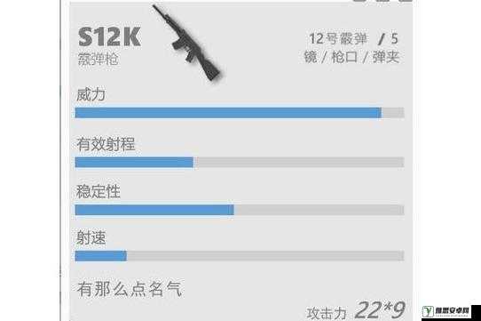 香肠派对S12K枪械全面解析，伤害效果与使用技巧深度详解